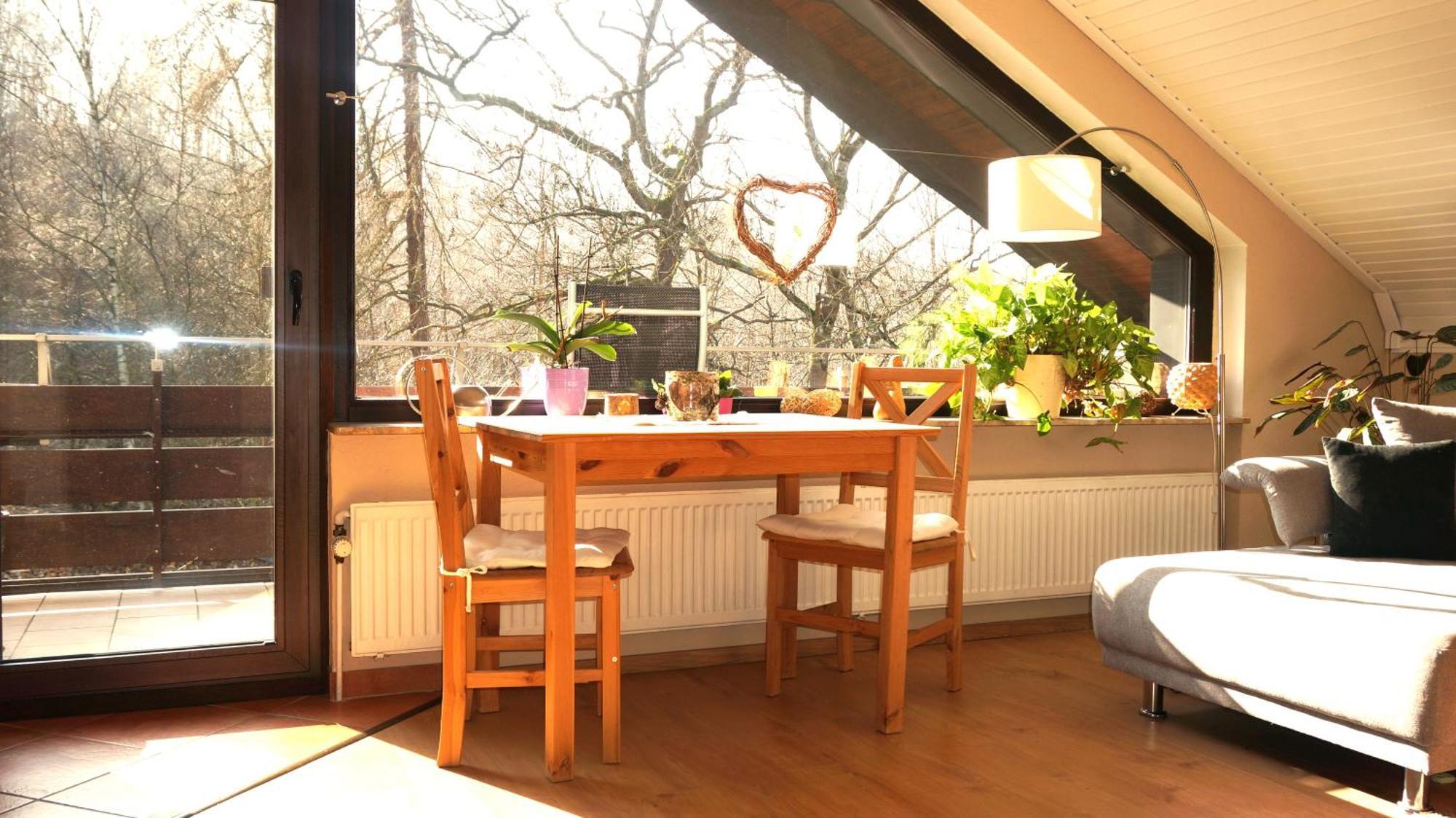 Ferienwohnung Im Wald Mit Kamin Bad Harzburg Luaran gambar
